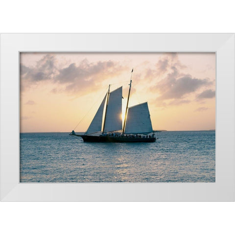 Coastal Sailing White Modern Wood Framed Art Print by ODell, Debbie
