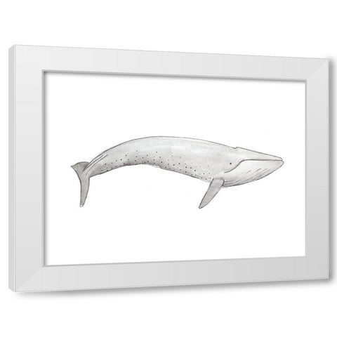 Great Gray Whale White Modern Wood Framed Art Print by SD Graphics Studio