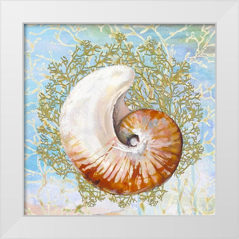 Shell Medley III White Modern Wood Framed Art Print by Diannart