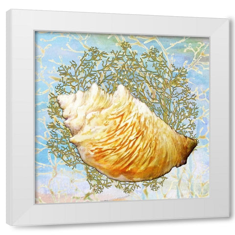 Shell Medley IV White Modern Wood Framed Art Print by Diannart