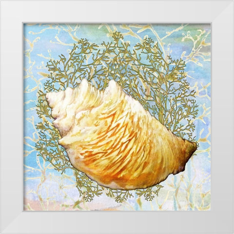Shell Medley IV White Modern Wood Framed Art Print by Diannart