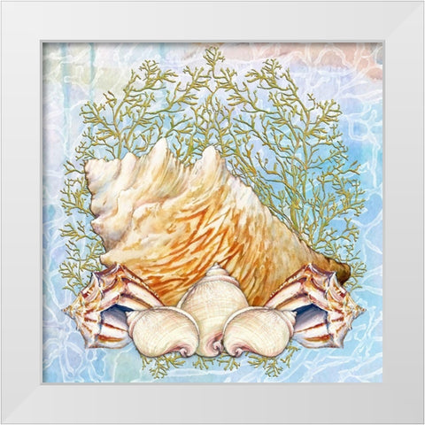 Shell Medley VI White Modern Wood Framed Art Print by Diannart