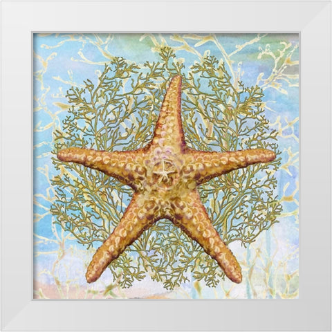 Shell Medley II White Modern Wood Framed Art Print by Diannart