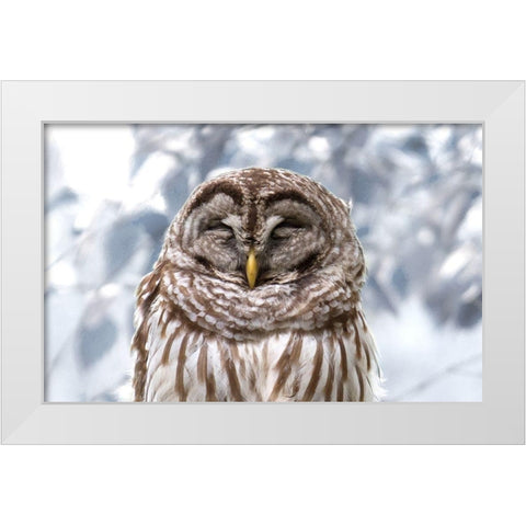 Winter Feathers White Modern Wood Framed Art Print by Mansfield, Kathy