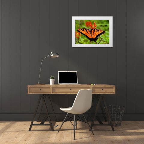 Metallic Butterfly White Modern Wood Framed Art Print by Mansfield, Kathy