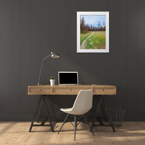 Nature Path White Modern Wood Framed Art Print by Peck, Gail