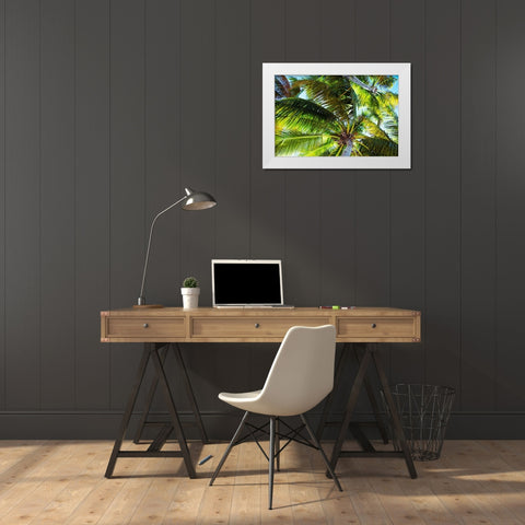 The Shady Spots II White Modern Wood Framed Art Print by Navas, Emily