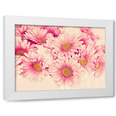 Pink Daisies I White Modern Wood Framed Art Print by Navas, Emily