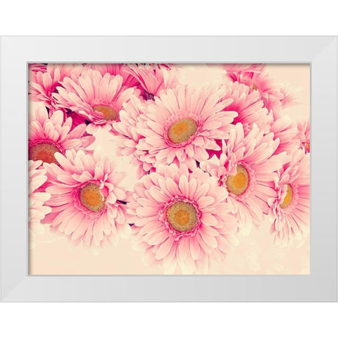 Pink Daisies I White Modern Wood Framed Art Print by Navas, Emily