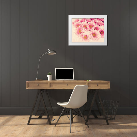 Pink Daisies II White Modern Wood Framed Art Print by Navas, Emily