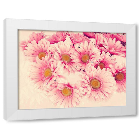 Pink Daisies II White Modern Wood Framed Art Print by Navas, Emily