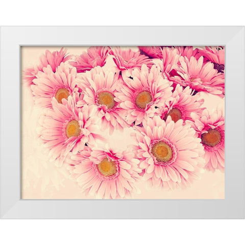 Pink Daisies II White Modern Wood Framed Art Print by Navas, Emily