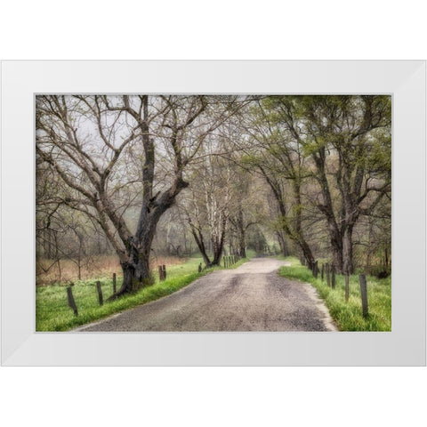 Late Afternoon Walk White Modern Wood Framed Art Print by Amos, Andy