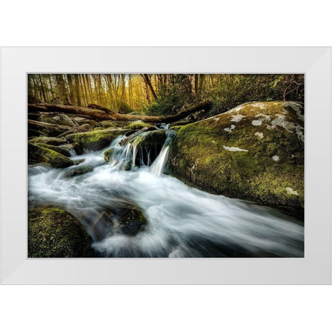 Fallen Timber White Modern Wood Framed Art Print by Amos, Andy