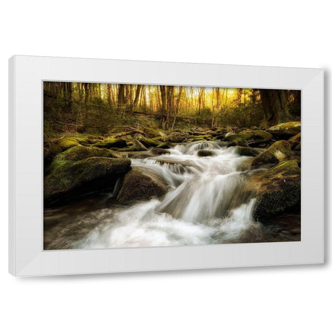 Roaring Fork White Modern Wood Framed Art Print by Amos, Andy