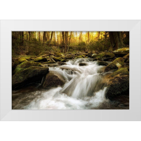 Roaring Fork White Modern Wood Framed Art Print by Amos, Andy