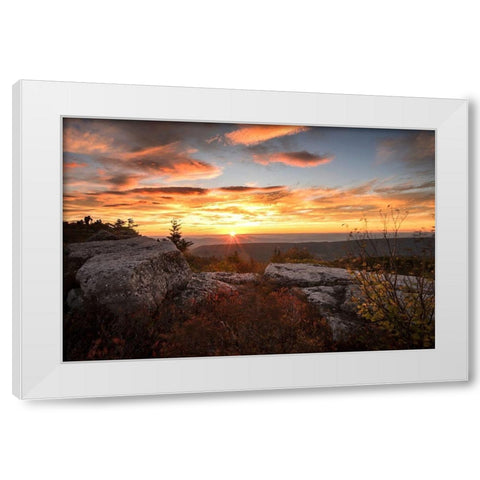 Sunrise in Fall I White Modern Wood Framed Art Print by Amos, Andy
