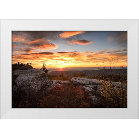 Sunrise in Fall I White Modern Wood Framed Art Print by Amos, Andy