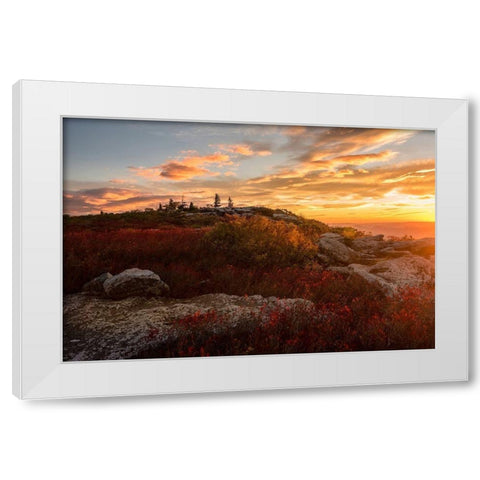 Sunrise in Fall II White Modern Wood Framed Art Print by Amos, Andy