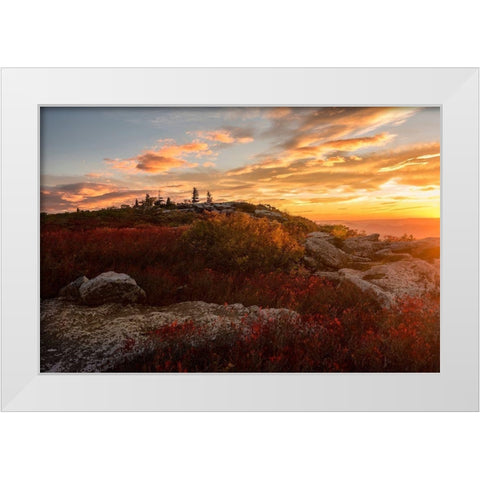 Sunrise in Fall II White Modern Wood Framed Art Print by Amos, Andy
