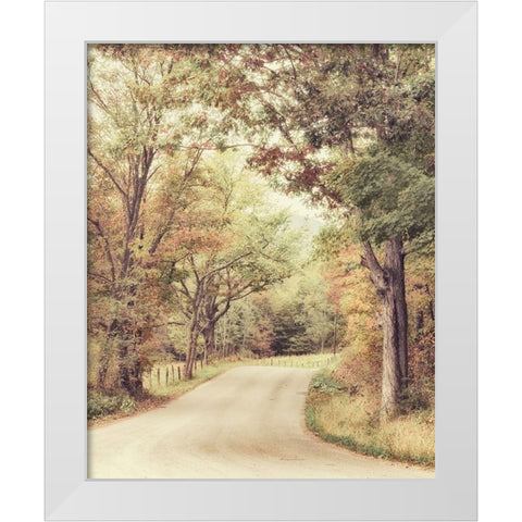 Along The Path White Modern Wood Framed Art Print by Amos, Andy