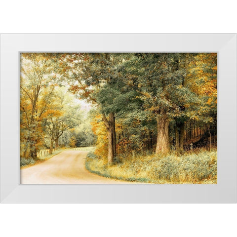 Crisp Season White Modern Wood Framed Art Print by Amos, Andy