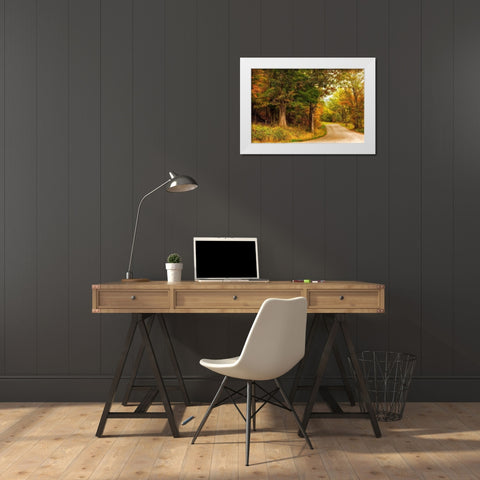 Autumns First Day White Modern Wood Framed Art Print by Amos, Andy