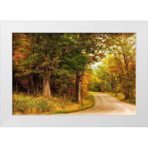 Autumns First Day White Modern Wood Framed Art Print by Amos, Andy