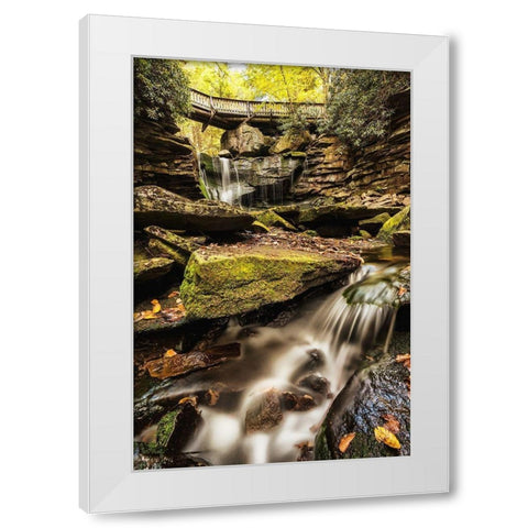 Under the Bridge I White Modern Wood Framed Art Print by Amos, Andy