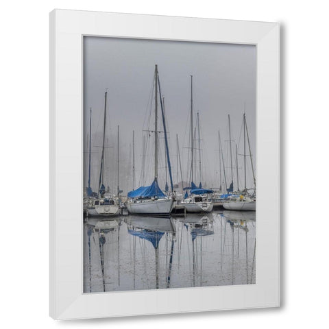 Sailing Boats White Modern Wood Framed Art Print by Amos, Andy