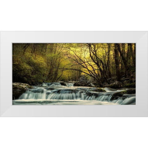 Tremont at Sunrise White Modern Wood Framed Art Print by Amos, Andy