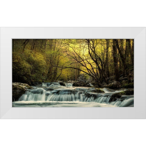 Tremont at Sunrise White Modern Wood Framed Art Print by Amos, Andy