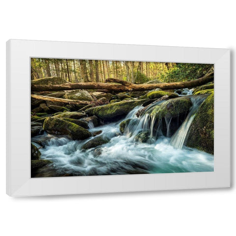 Sticks and Stones White Modern Wood Framed Art Print by Amos, Andy