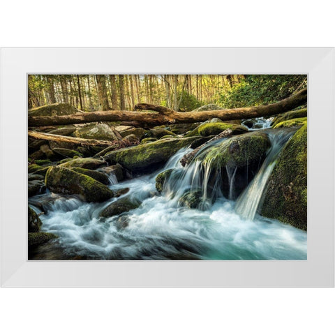 Sticks and Stones White Modern Wood Framed Art Print by Amos, Andy