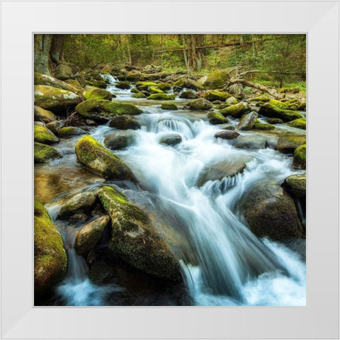 Forest River White Modern Wood Framed Art Print by Amos, Andy