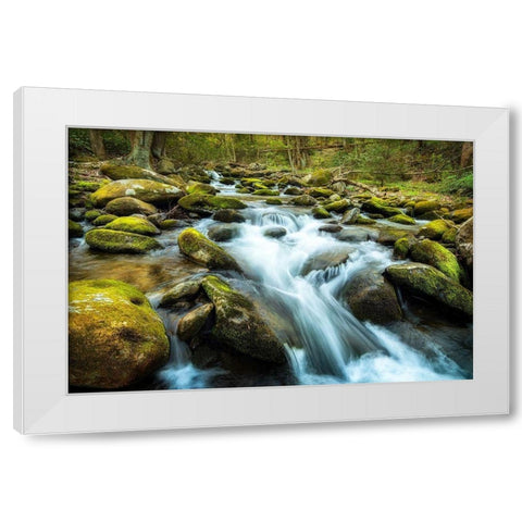 Moss Rocks White Modern Wood Framed Art Print by Amos, Andy