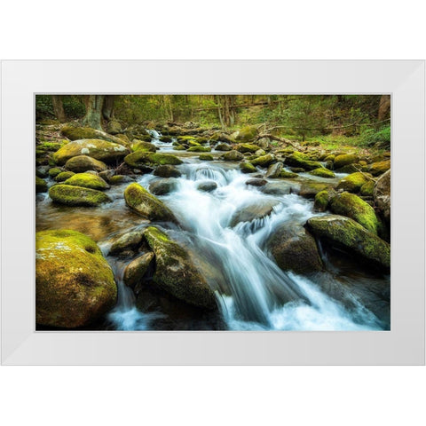 Moss Rocks White Modern Wood Framed Art Print by Amos, Andy