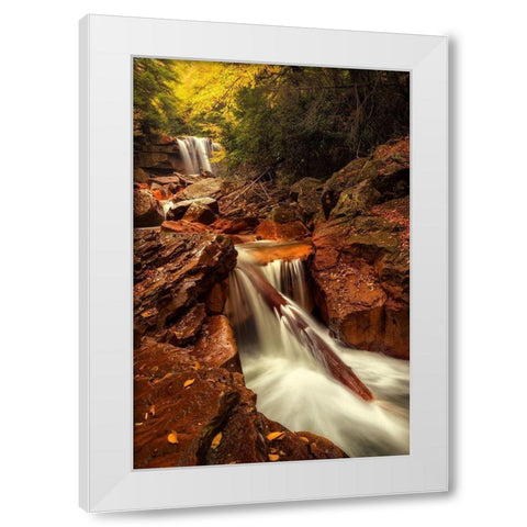 Natures Path White Modern Wood Framed Art Print by Amos, Andy