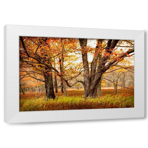 Crossing Paths White Modern Wood Framed Art Print by Amos, Andy