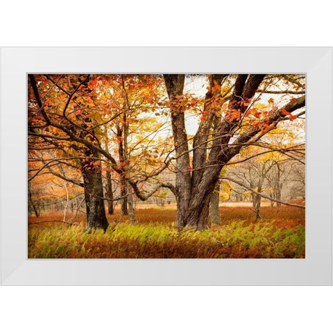 Crossing Paths White Modern Wood Framed Art Print by Amos, Andy