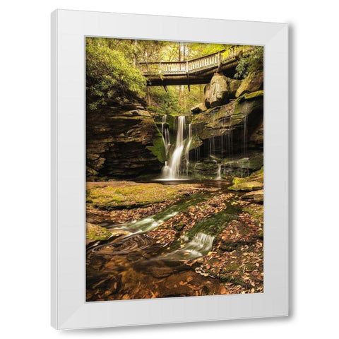 Under the Bridge II White Modern Wood Framed Art Print by Amos, Andy