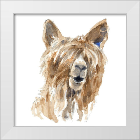 Shaggy Llama White Modern Wood Framed Art Print by Loreth, Lanie