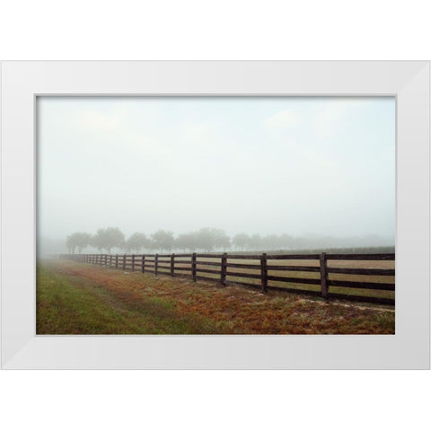 Humid Days White Modern Wood Framed Art Print by Wilson, Kali