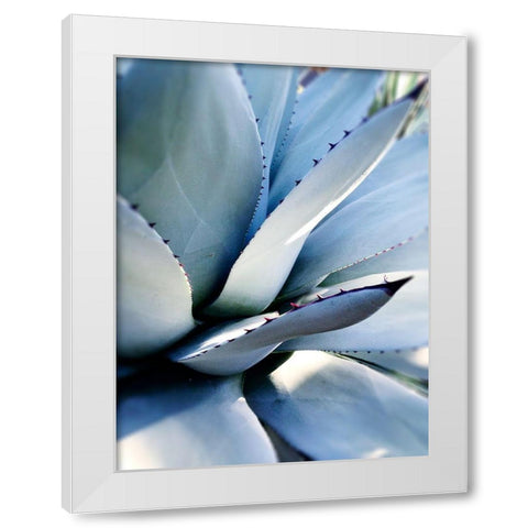 Giant Succulent I White Modern Wood Framed Art Print by Wilson, Kali