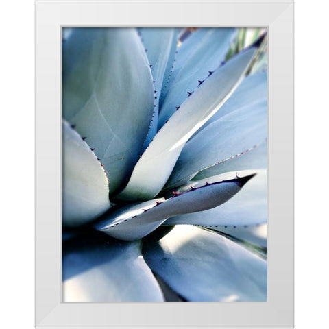 Giant Succulent I White Modern Wood Framed Art Print by Wilson, Kali