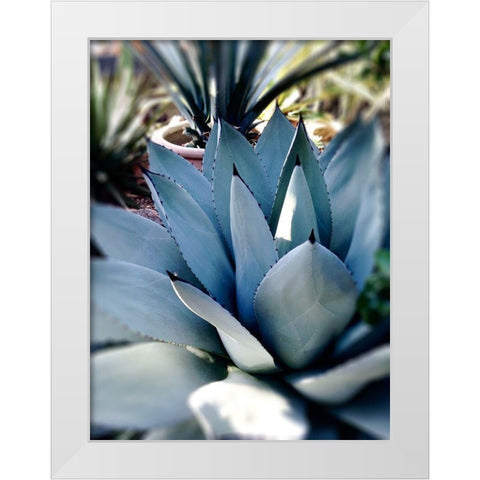 Giant Succulent II White Modern Wood Framed Art Print by Wilson, Kali