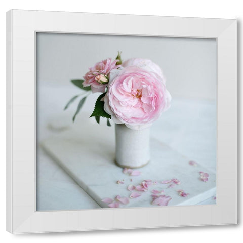 A Single Rose White Modern Wood Framed Art Print by Gardner, Sarah