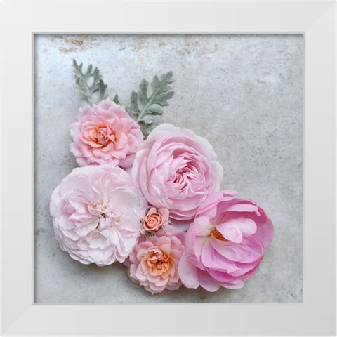 A Beautiful Array White Modern Wood Framed Art Print by Gardner, Sarah