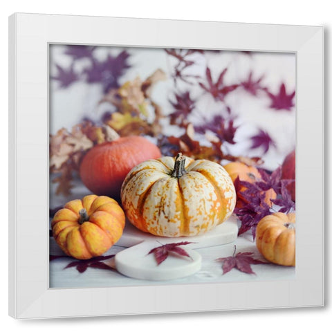 A Bright Harvest I White Modern Wood Framed Art Print by Gardner, Sarah
