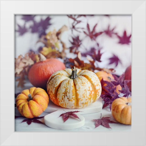 A Bright Harvest I White Modern Wood Framed Art Print by Gardner, Sarah